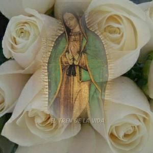 Meet your Posher, Ana